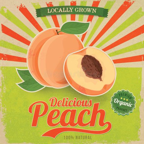 Juice Clipart, Peach Stock, Standing Signage, Drinks Packaging Design, Fruits Images, Tumblr Stickers, Retro Images, 카드 디자인, Free Coffee