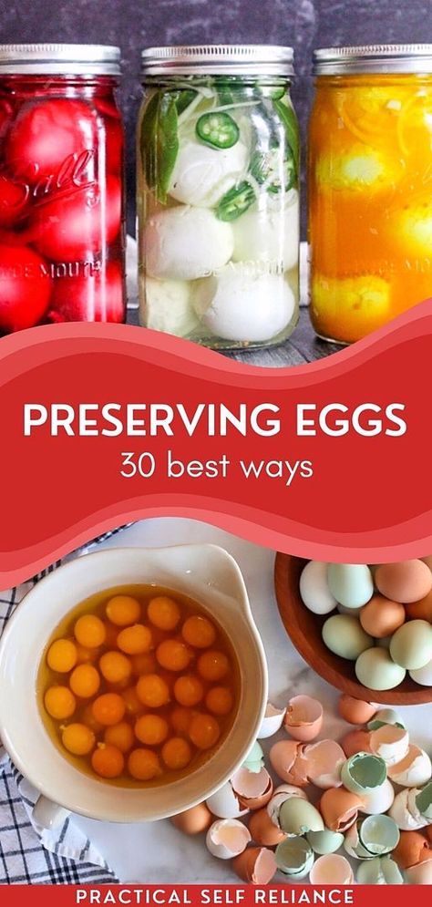 Preserving Eggs 30 Ways is your essential guide for prepper food storage. Understand various methods to preserve eggs, ensuring you have a steady supply in your emergency food stock. These tips are crucial for anyone focused on preparedness and self-reliance. Find more homesteading skills, homestead chickens, and historical food preservation at practicalselfreliance.com. Salt Cured Egg Yolks, Preserve Eggs, Preppers Food Storage, Preserving Eggs, Diy Food Storage, Storing Food Long Term, Cured Egg Yolk, Historical Food, Storing Eggs