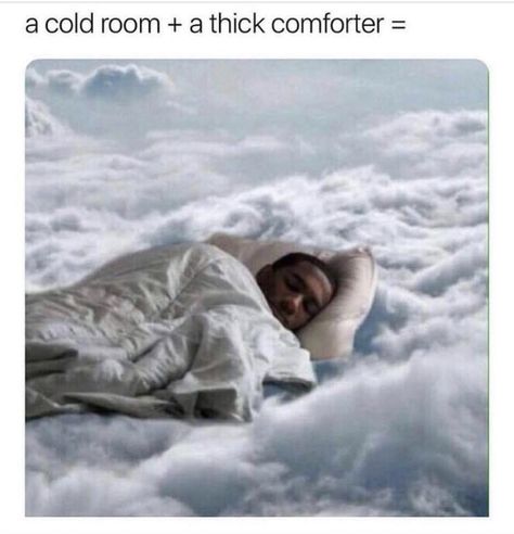 Cold Meme, Bed Meme, Filthy Memes, Bed Weather, Funny Jump, Going Back To College, Can't Stop Laughing, Try Not To Laugh, Daily Memes