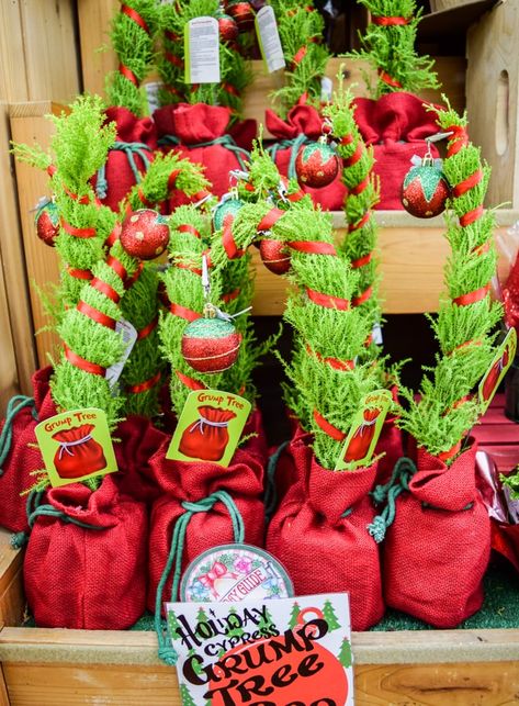 83 Holiday Products From Trader Joe's That Are Perfect For Gift Giving Chocolate Ornament, Grinch Christmas Tree, Christmas Background Images, Entertaining Gifts, Colonial Christmas, Gift Drawing, Edible Gifts, Christmas Gift Basket, Mini Christmas Tree