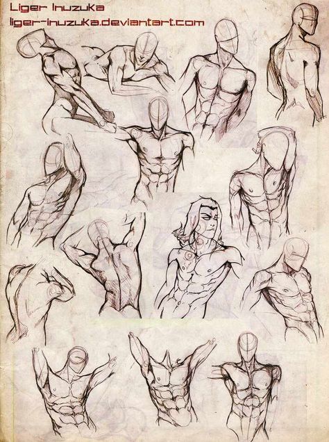 Ref Torso Drawing, Body Study, Male Torso, Body Sketches, Human Figure Drawing, Anatomy Sketches, Different Poses, Anatomy Drawing, Poses References