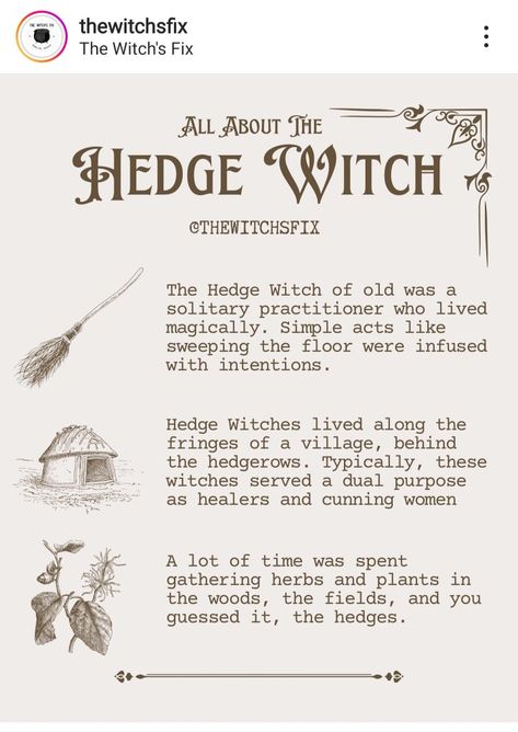 Hedgewitch Aesthetics, Hedgewitch Aesthetic, Hedge Witch Aesthetic, Magical Lifestyle, Water Witchcraft, Witch Info, Witchy Inspiration, Hedge Witchcraft, Divination Witch