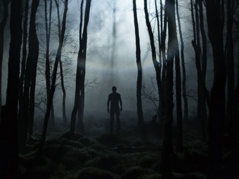 An eerie setting of the woods. In The Woods, Forest, Film