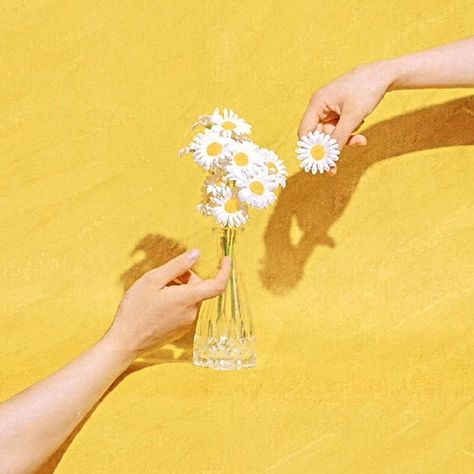 💛🌼 Yellow Daisy Aesthetic Wallpaper, Iphone Wallpaper Yellow, Yellow Aesthetic Pastel, Hand Photography, Dreamy Artwork, Editing Tips, Flowery Wallpaper, Artsy Pictures, Mood Wallpaper