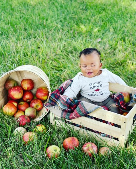 #applepicking #appleorchard #apple #applephotos #applepics #fallbabypictures Apple Orchard Baby Pictures, Baby Apple Orchard Pictures, Baby Apple Picking Pictures, Apple Picking Baby Pictures, Apple Baby Photoshoot, Baby Apple Photoshoot, Apple Picking Pictures, Apple Orchard Photography, Apple Orchard Pictures