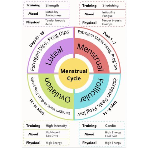 Cycle is everything Feminine Cycle, Menstrual Cycle Chart, Workout Cycle, Hormone Nutrition, Menstrual Cycle Phases, Ovulation Cycle, Healthy Hormones, Menstrual Health, Feminine Health