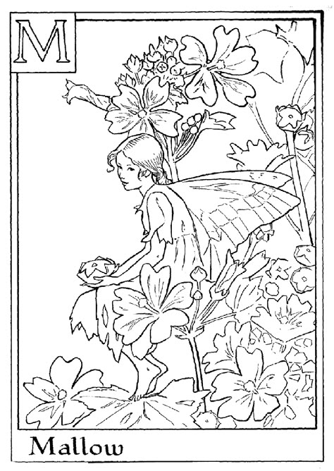 Alphabet Fairy Mallow Coloring Pages Fairy Alphabet, Mallow Flower, Free Coloring Sheets, Adult Colouring Pages, Fairy Coloring Pages, Cicely Mary Barker, Coloring For Adults, Fairy Coloring, Alphabet Coloring Pages