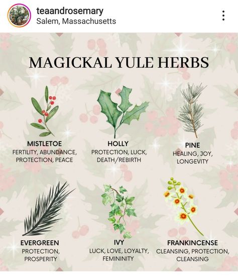 Mistletoe Witchcraft, Winter Solstice Herbs, Yule Pictures, Everyday Witchcraft, Wicca Holidays, Winter Solstice Party, Yule Traditions, Yule Crafts, Pagan Christmas