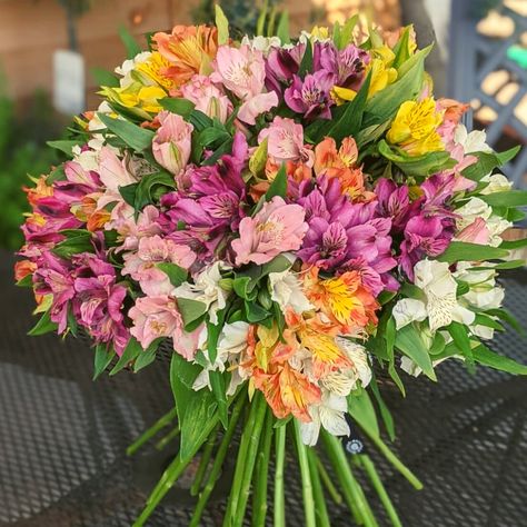 Alstroemeria Arrangement, Alstroemeria Bouquet, Hunter Birthday, Peruvian Lilies, Engagement Decorations, Flower Therapy, Holiday Centerpieces, Wedding Mood Board, Birthday Flowers