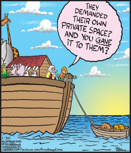 Church Humor, Religious Humor, Christian Cartoons, Jewish Humor, Bible Humor, Funny Cartoon Pictures, Cat Jokes, And So It Begins, Noah S Ark