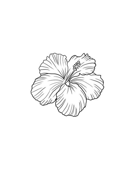 Costa Rica Flower Tattoo, Hibiscus Tattoo Stencil, Trying Tattoo, Hibiscus Tattoo Design, Frangipani Tattoo, Tropical Flower Tattoos, Word Art Drawings, Small Geometric Tattoo, Matching Bff Tattoos