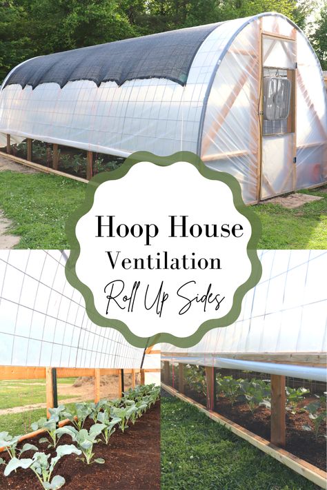 Hoop Houses Greenhouse, Hoop Green House Ideas, Diy Hoop House Greenhouse, Hoop House Gardening, Hoophouse Greenhouse, Hoop House Greenhouse, Pvc Greenhouse Plans, Cattle Panel Greenhouse, Hoop Greenhouse