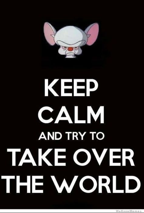 pinky and the brain Brain Meme, Take Over The World, Keep Calm Posters, Calm Quotes, Keep Calm Quotes, Taking Over The World, The Brain, A Mouse, The Words