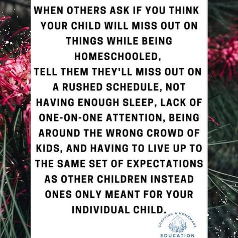 Life Schooling, Unschooling Quotes, Unschooling Ideas, Homeschool Goals, Waldorf Homeschooling, Child Behavior, Homeschool Quotes, Happy Homemaking, Homeschool Preschool Activities