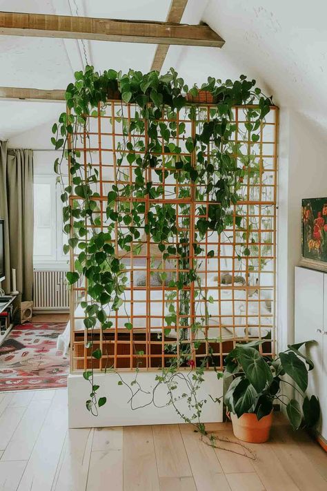 Spiritual Center, Tiny House Builders, Diy Room Divider, Studio Apartment Ideas, Divider Wall, Small Balcony Ideas, Room With Plants, Room Dividers, Entrance Decor