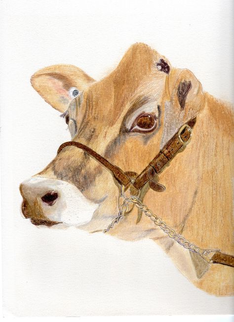 Jersey Cow Jersey Cow, Cow Gifts, Cow Calf, Cow Art, Cow Bell, Closer To Nature, Pencil Illustration, Crafts Supplies, Sell Handmade