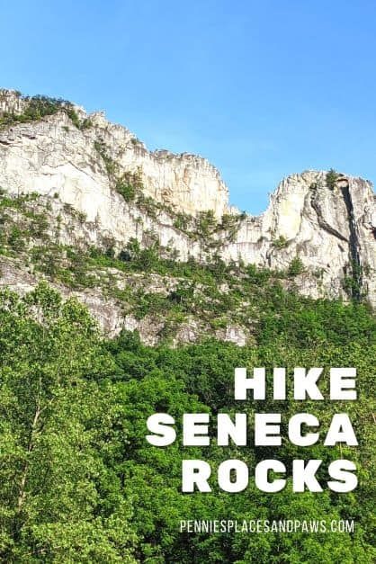 Hike Seneca Rocks | Pennies, Places, and Paws Seneca Rocks, Monongahela National Forest, Dog Friendly Vacation, East Coast Usa, Fall Road Trip, Swimming Hole, Rock Climbers, American Travel, Swimming Holes