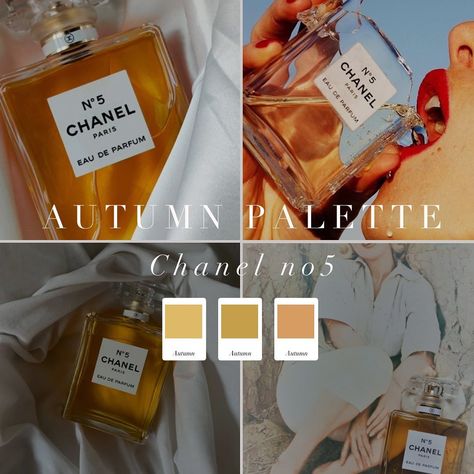 Perfume inspiration based on your colour season 🖤 . #coloranalysis #colouranalysis #summerpalette #springpalette #autumnpalette #winterpalette Perfume Inspiration, Colour Season, Colour Analysis, Spring Palette, Seasonal Color Analysis, Soft Autumn, Color Analysis, Season Colors, Chanel