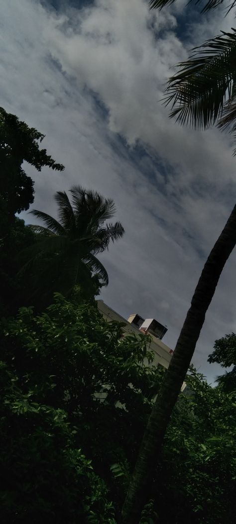 #sky #asethetic #rain #bluesky #vintage #kolkata Rain In Kolkata, Vintage Kolkata, Ipad Pro Background, Sky Rain, Background Ideas, Tom Riddle, Sky Pictures, Rain Clouds, Evening Sky