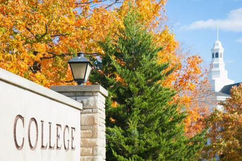 How a Leading Christian College Turned Against Its Gay Leader Wheaton College, Liberal Arts College, Christian College, Christian School, Liberal Arts, Change Of Heart, The Covenant, College Art, Social Justice