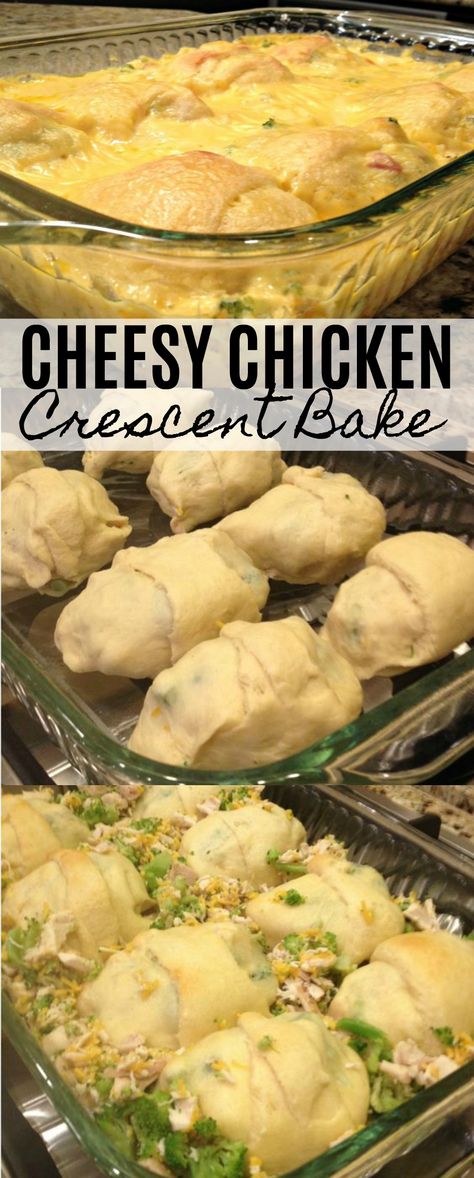 Rotisserie Chicken Recipes With Crescent Rolls, Cheesy Chicken Crescent Roll Casserole, Rotisserie Chicken Crescent Rolls, Crescent Chicken Recipes, Broccoli Chicken Crescent Rolls, Cheesy Chicken Cresant Rolls, Chicken Crossaints Casserole, Cheesy Chicken Rolls, Chicken And Broccoli Crescent Roll Recipes