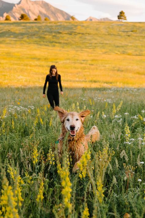 Pics With Dogs Ideas, Dog And Woman Photography, Working Dog Photography, Tux Photoshoot, Senior Picture With Dog, Senior Picture Ideas With Dogs, Senior Dog Photoshoot, Dog And Me Photoshoot, Senior Photos With Dog