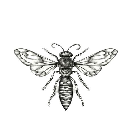 Print Busy Bees on Behance Wasp Tattoo, Ceramic Mosaic, Busy Bees, Busy Bee, Wasp, Compass Tattoo, Lotus Flower Tattoo, Simple Tattoos, I Tattoo