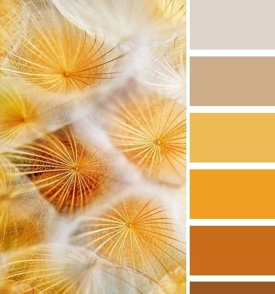 Yarn Color Combinations, Banana Yellow, Autumn Orange, Yellow Colour Scheme, Color Palette Yellow, Color Schemes Colour Palettes, Nature Color Palette, Fall Color Palette, Amber Color