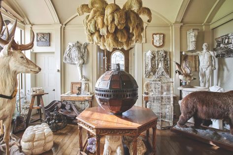 Why Aynhoe Park is the Sale of the Century | Interiors Anyhoe Park, Aston Martin Dbr1, Aynhoe Park, Stuffed Unicorn, Cabinet Of Curiosity, Mahogany Table, Drawing Room, Yankee Candle, Taxidermy