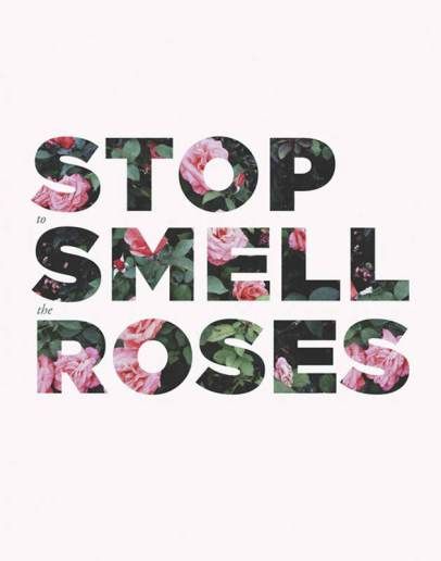 Stop to smell the roses Sarah Sherman, Stop And Smell The Roses, Sarah Sherman Samuel, Smell The Roses, Rose Art, Inspirational Quotes Motivation, The Words, Beautiful Words, Inspire Me