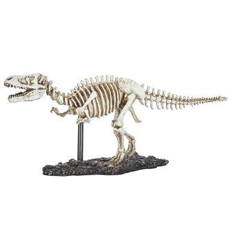 T-Rex Fossil Decor Fossil Decor, Dino Room, Dinosaur Bedroom, Home Decor Frames, Dinosaur Room, Bachelorette Pad, Decor Pillows, Home Supplies, Big Boy Room