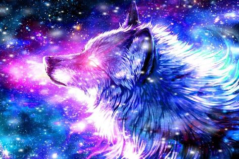 Galaxy Wolf Galaxy Drawing, Fun Paintings, Cute Monkey Pictures, Dreams Wallpaper, Galaxy Drawings, Chrome Theme, Galaxy Wolf, Wolf Background, Monkey Pictures