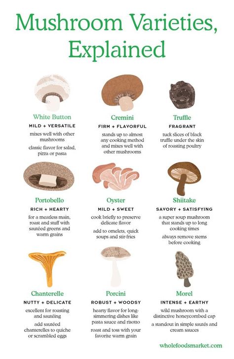 Mushroom Varieties, Explained // White Button, Cremini, Truffle, Portobello, Oyster, Shiitake, Chanterelle, Porcini and Morel // Tips for preparing: Mushroom Varieties, Food Info, Think Food, Cooking Basics, Whole Foods Market, Food Facts, Mushroom Recipes, Whole Foods, Portobello