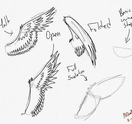 Google+ Closed Wings Drawing, Bird Wings Drawing, Wings Drawing Reference, Closed Wings, Wings Sketch, Hair Stenciling, Wings Drawing, Drawing Quotes, Bird Wings