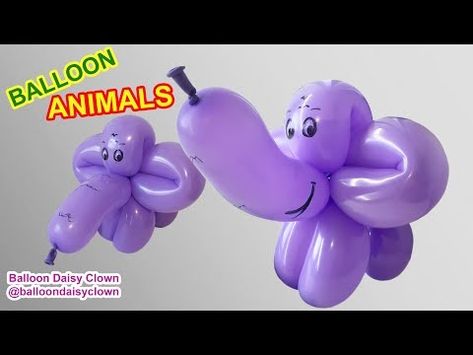 Elephant - How to Make Balloon Animals - YouTube Balloon Elephant, How To Make Balloon, Balloon Animals, Fall Festival, Balloons, Daisy, Elephant, Festival, Animals