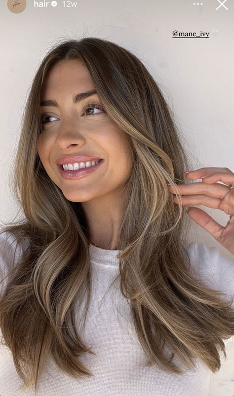 Honey Blonde Balayage Curtain Bangs, Minimalist Hair Color, Green Eyes Dark Brown Hair, Level 6 Natural Hair Color, Brunette Hair Inspiration 2023, Highlights No Money Piece, Soft Baylage Brown Hair, Brown Hair With Creamy Blonde Highlights, Blonde Going Brown