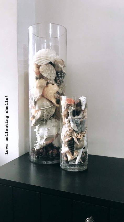 Stones And Shells Ideas, Vase With Seashells, Seashells In Glass Containers, Seashell Vases Ideas, Beach Shells Display, How To Decorate With Seashells, Conch Shell Decor Ideas, Seashell Containers, Display Seashells Ideas