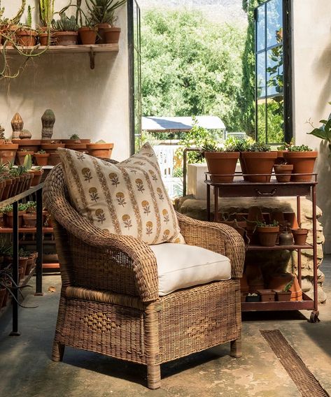 Single Seater Chair, Conservatory Chairs, Cosy Armchair, Cane Chairs, Traditional Benches, Traditional Coffee Table, Spa Furniture, Single Seater, Cane Furniture