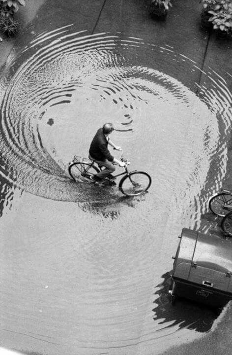 Wow Photo, Robert Doisneau, Fotografi Vintage, Riding A Bike, Cicely Mary Barker, Photos Vintage, Lukisan Cat Air, Foto Art, White Picture