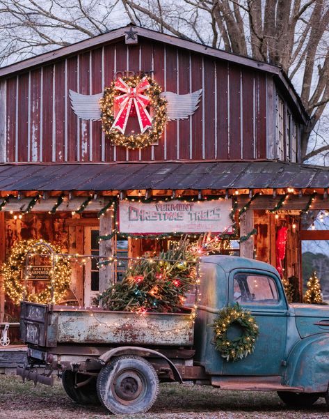 Christmas Shop Displays, Cows Grazing, Christmas Barn, Instead Of Flowers, Christmas Craft Projects, Flower Farmer, Christmas Car, Christmas Tree Shop, Christmas Time Is Here