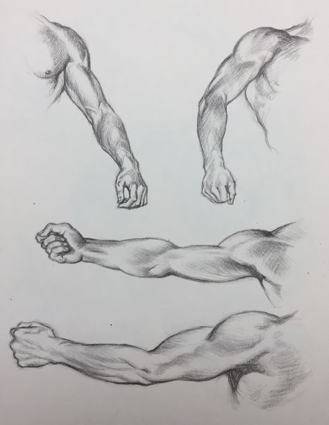 Forearm Anatomy, Man Body Parts, Anatomy Muscles, Body Part Drawing, Sketches Ideas, Human Body Parts, Anatomy Sketches, Anatomy Drawing, Human Figure