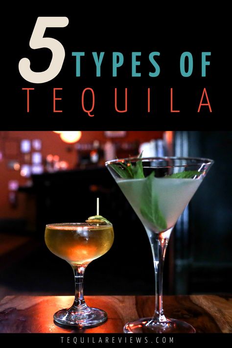 @tequilareviews 

|tequila drinks|tequila cocktails|tequila sunrise|tequila|tequila sunrise recipe|tequila jello shots|tequila drinks easy|alcoholic drinks aesthetic|adult drinks|adult drinks alcohol|cinco de mayo drinks|national tequila day Types Of Tequila, Blue Agave Plant, Tequila Party, Seductive Makeup, Tequila Tasting, Best Tequila, Advertising Board, Tacos And Tequila, Agave Plant