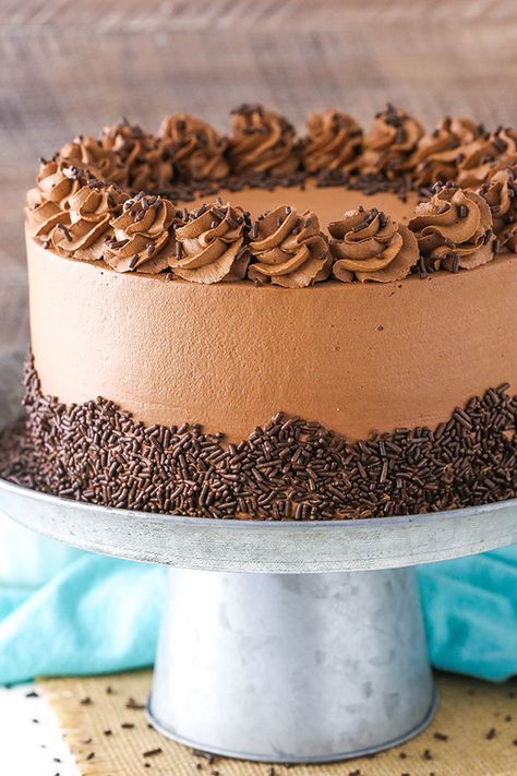 Chocolate Mousse Cake - a moist chocolate cake with silky smooth chocolate mousse! Chocolate Mousse Cake Recipe, Mouse Cookies, Mousse Cake Recipe, Chocolate Whipped Cream, Bake Recipes, Special Cakes, Chocolate Mousse Cake, Moist Chocolate Cake, Mousse Recipes