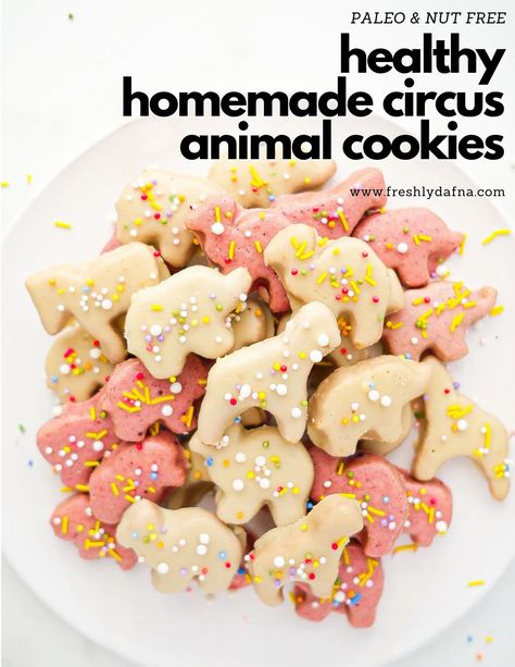 Frosted Animal Cookies that are just as delicious as the store bought version but made with simple, real ingredients! A crisp, buttery cookie coated in a simple vegan white chocolate and topped with naturally dyed sprinkles. #paleo #glutenfree #grainfree #lactosefree, #refinedsugarfree #nutfree #cookies Animal Cookies Recipe, Frosted Animal Cookies, Paleo Dessert Recipes Easy, Circus Animal Cookies, Circus Cookies, Circus Animal Cookie, Vegan White Chocolate, Paleo Recipes Dessert, Healthy Vegan Snacks