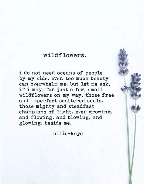 Ullie Kaye, Wild Flower Quotes, Flower Quotes, Poetry Words, Yoga Quotes, Nature Quotes, Quotable Quotes, Reality Quotes, Pretty Words