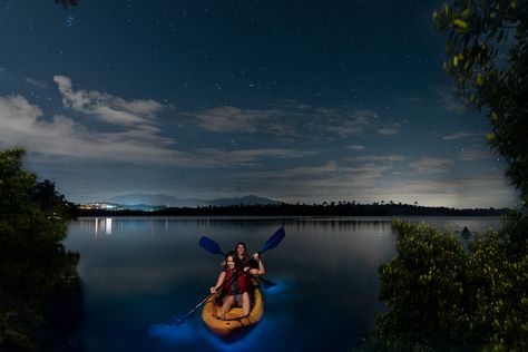 11 Things I Wish I Knew Before Taking A Bioluminescent Bay Tour In Puerto Rico Bioluminescent Bay Puerto Rico, Bioluminescent Bay, El Yunque National Forest, Fajardo, Kayak Tours, Bacardi, Punta Cana, Safe Travel, World Heritage Sites