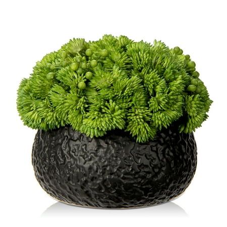 Artificial Potted Succulent Arrangement Display it in any place of your place to add artistic appeal to your room, Placed in a modern black ceramic bowl,the realistie faux succulent arrangement makes a stunning addition to any table, shelf, or counter space. Plant Type:Succulents Color:green and black pot Material:plastic,Ceramic Product Dimensions:6.7"W x 6.3"H Succulents Plants Artificial in Ceramic Pots Fake Succulent Arrangement with Black Bowl Planter Large Faux Succulent Plants for Home Ba Succulent Table Decor, Bowl Planter, Fun Products, Fake Succulents, Shelf Desk, Black Bowl, Succulents Plants, Plants Succulents, Table Shelf