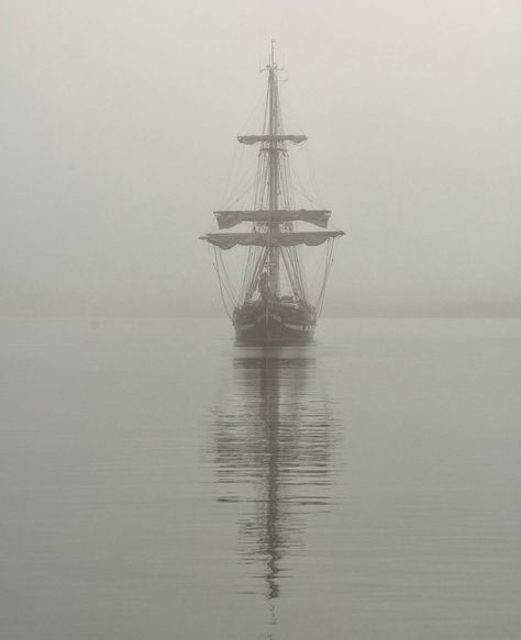 Harbour Aesthetic, Fog Aesthetic, Sea Shanties, Sick Tattoo, Ghost Ship, Stormy Sea, Bigger Boat, Sirens, Nature Aesthetic