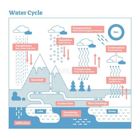 Water Cycle vector illustration diagram. Geo science ecosystem scheme. Water Cycle vector illustration diagram. Evaporation to condensation, transportation stock illustration Cloud Diagram, Water Cycle Diagram, Landscape Diagram, Science Illustration, Teaching Techniques, Water Cycle, Diagram Design, Water Management, Weather And Climate