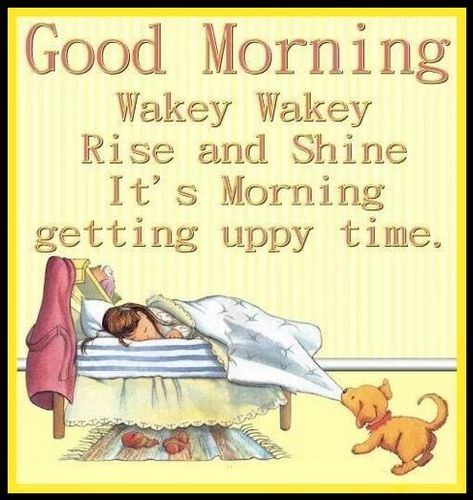 Good Morning, Wakey Wakey, Rise And Shine morning good morning morning quotes good morning quotes good morning greetings Funny Good Morning Messages, Funny Good Morning, Funny Good Morning Images, Wakey Wakey, Good Morning Quotes For Him, Morning Memes, Morning Quotes For Him, Happy Morning Quotes, Funny Good Morning Quotes